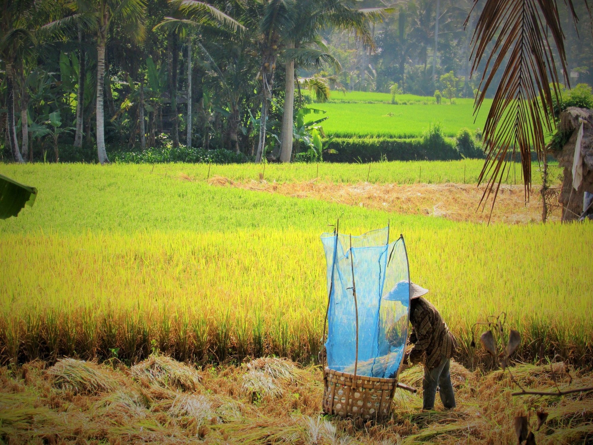 Temuku Villa Ubud