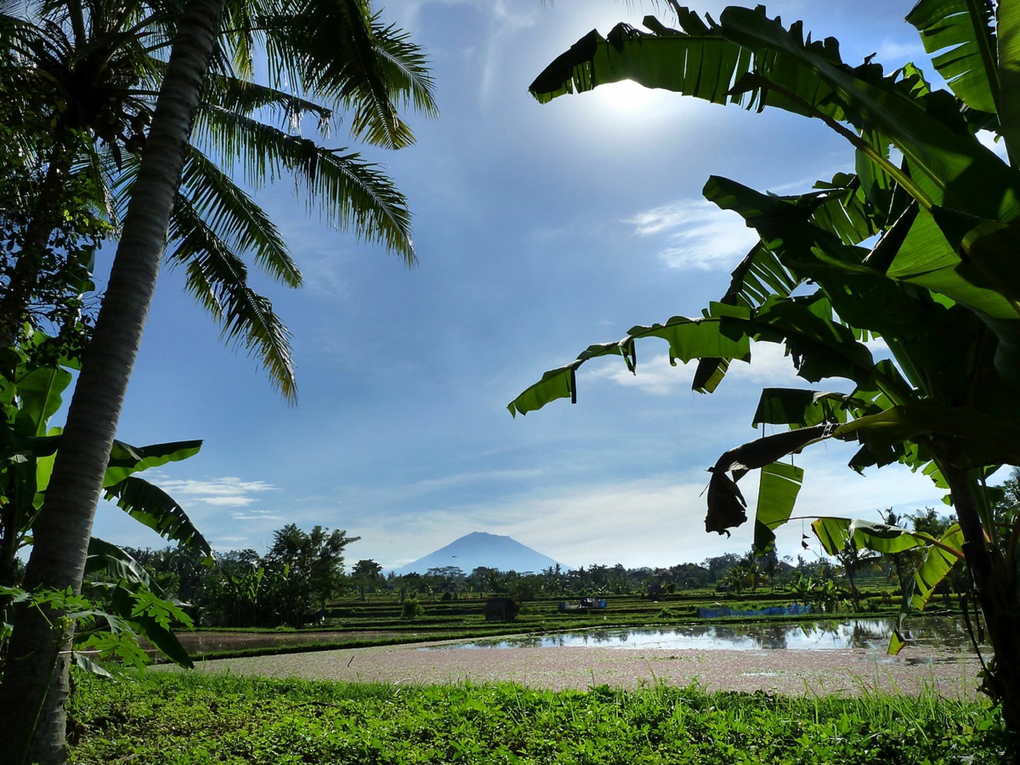 Villa Temuku Ubud